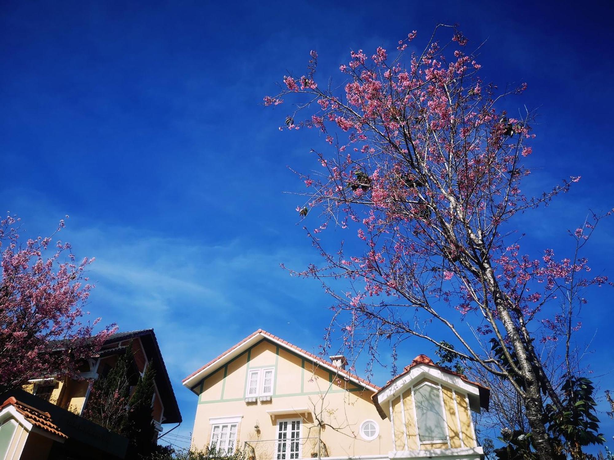 Bich Dao Boutique - Dalat Ξενοδοχείο Εξωτερικό φωτογραφία